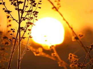 pressione bel tempo gradi