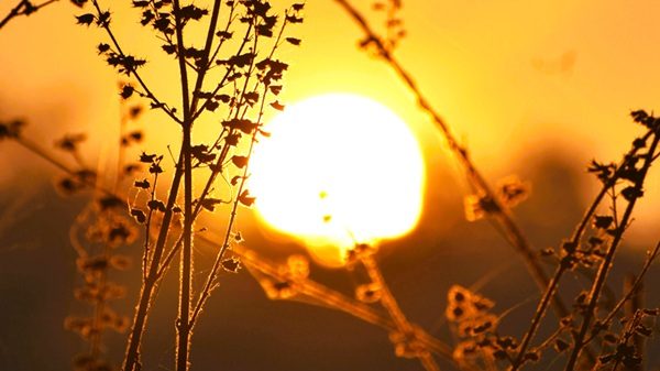 pressione bel tempo gradi