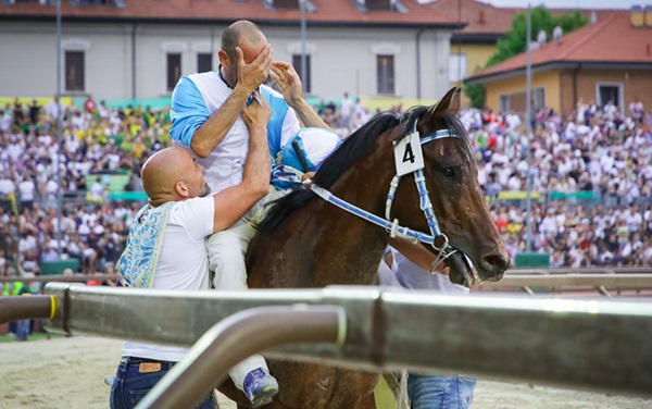 legnano palio 2026 bighino