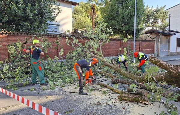 legnano maltempo alberi protezionecivile