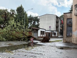 legnano maltempo alberi strade