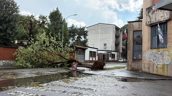 legnano maltempo alberi strade