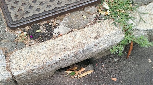 caditoia pioggia allagamenti scarichi