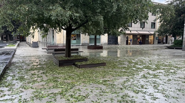 legnano maltempo grandine