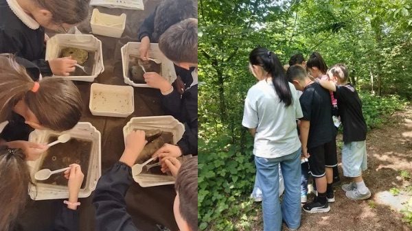 Castellanza natura progetti scuola