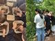 Castellanza natura progetti scuola