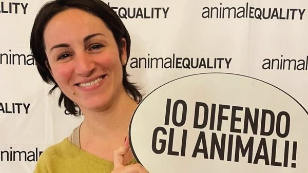 Novara ibis interrogazione Evi scienziati