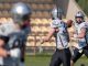 Frogs Legnano Dolphins IFL
