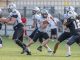 Frogs IFL Football Americano