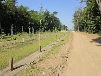 Gallarate Malpensa pista ciclabile