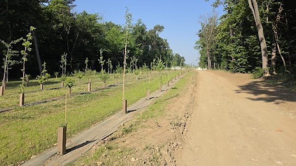 Gallarate Malpensa pista ciclabile