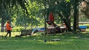 Novara ibis interrogazione Evi scienziati