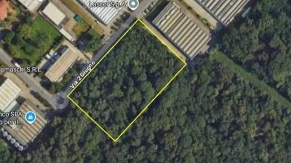 casorate ambientalisti bosco 2 giugno