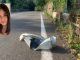 Maccagno incidente morta sara scuola