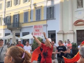 Novara Albania protesta fenicotteri