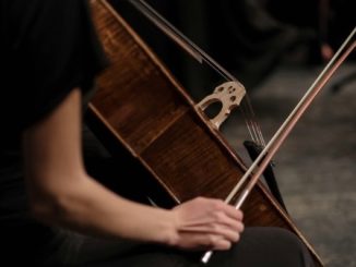 Sesto Musica Veleno festival