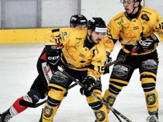 Varese Hockey Mastini abbonamenti