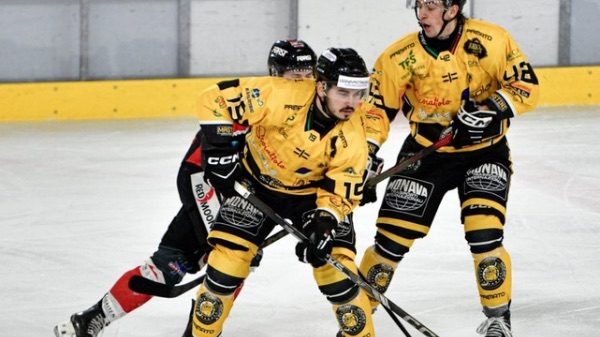 Varese Hockey Mastini abbonamenti