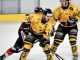 Varese Hockey Mastini abbonamenti