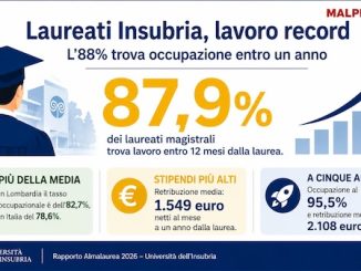 Varese università insubria lavoro