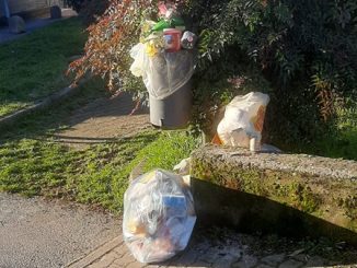 cestino multe rifiuti