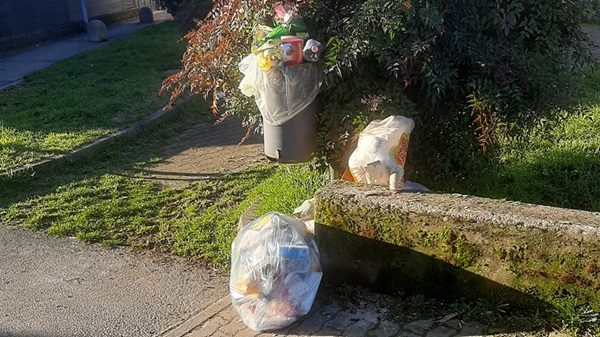 cestino multe rifiuti