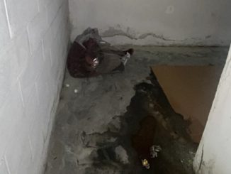 legnano degrado parcheggio sporcizia