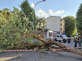 legnano cerromaggiore maltempo danni
