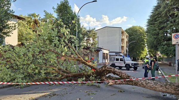 legnano cerromaggiore maltempo danni