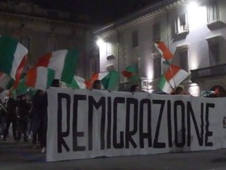 busto remigrazione legge