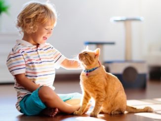 bambini animali