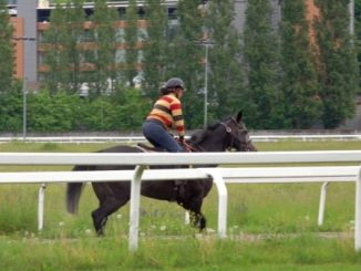 ippodromo date estate varese