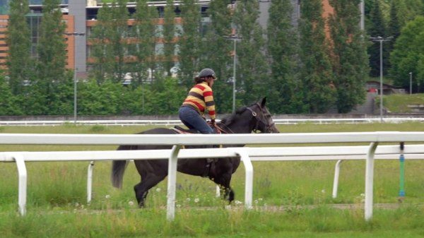 ippodromo date estate varese