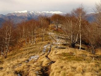 maccagno incontro veddasca natura