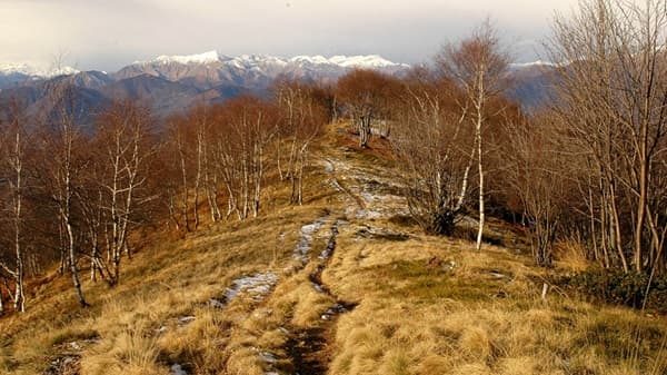 maccagno incontro veddasca natura