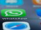 mornago canale whatsapp comune 01