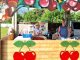 oltrona festa ciliegie weekend