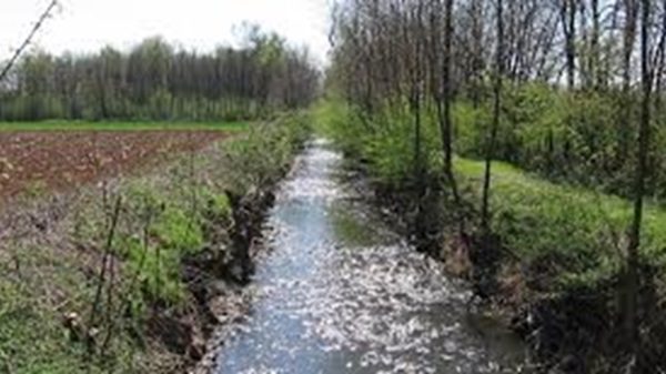 cerromaggiore parco mughetti