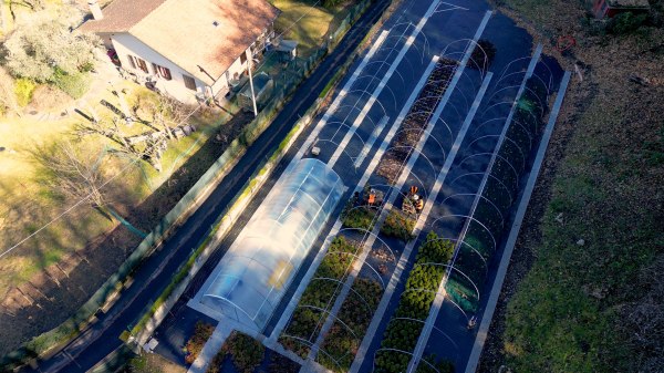 porto valtravaglia fondazione asilo mariuccia