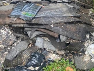 castanoprimo parcoticino rifiuti denuncia