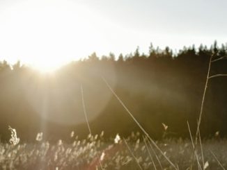 sereno nuvola pianura temperatura
