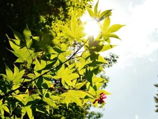 sole termometro salita temporali