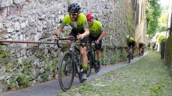 varese van vlaanderen partecipanti