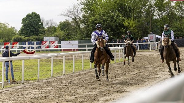 legnano palio furto staccionata