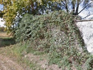 Novara cimitero islamico Pagliate