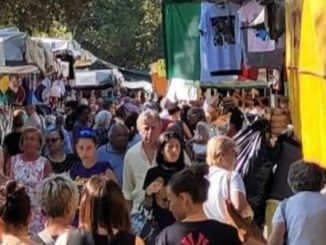 Novara fiera agosto dislocazione