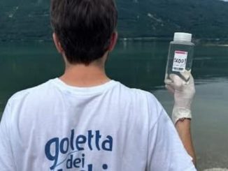 Verbano Cusio Goletta analisi