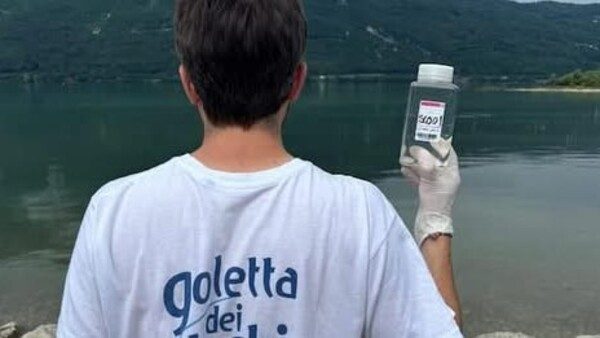 Verbano Cusio Goletta analisi