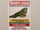 busto iguana fugge freezer