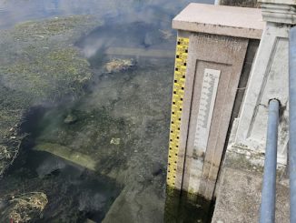 lago maggiore livello idrico